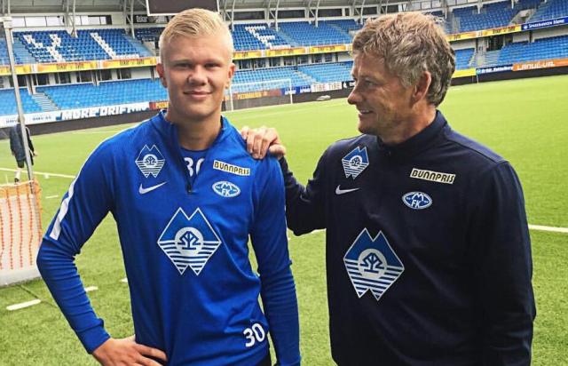 多花的部分 多花的部分