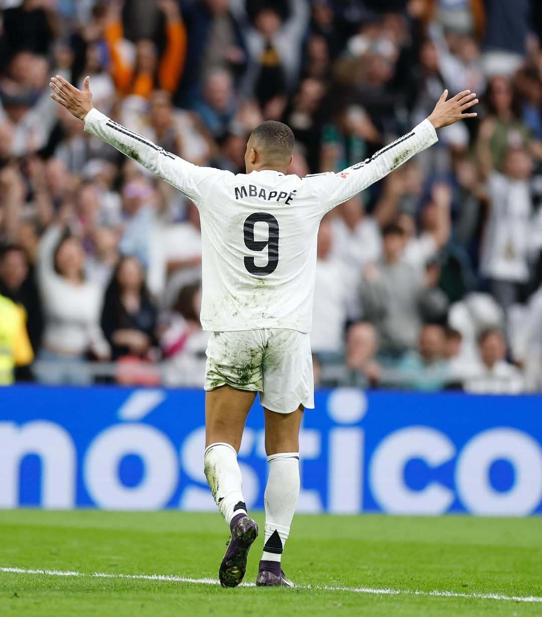 季后赛席位 季后赛席位